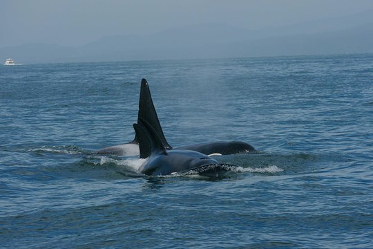 Tour image 4