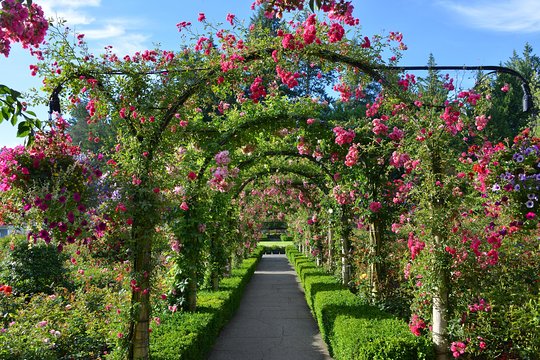 Tour image 13