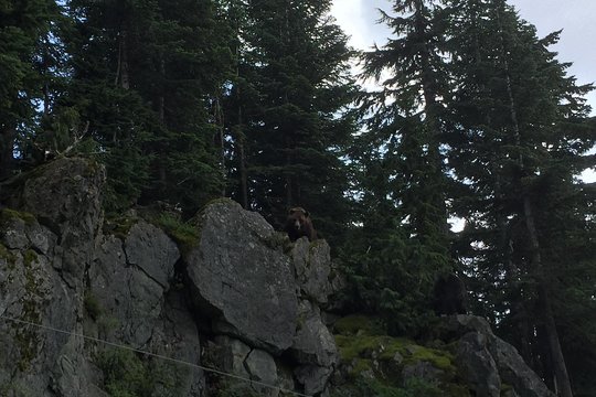 Tour image 6