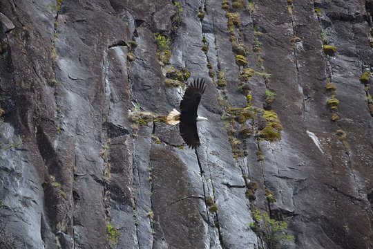 Tour image 7