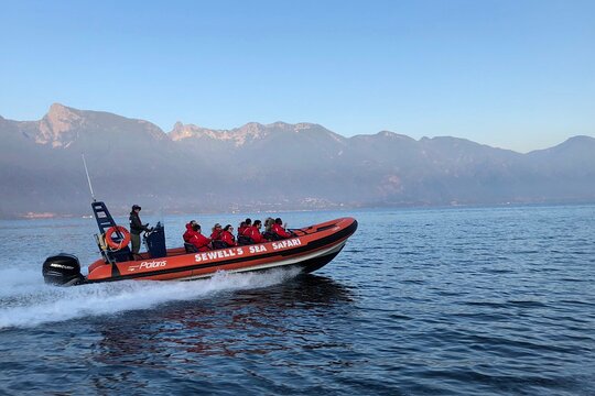 Tour image 7