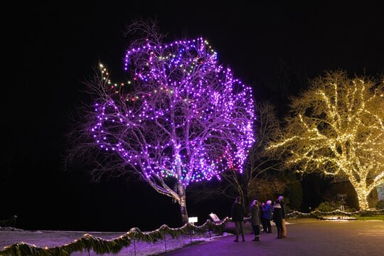 Tour image 11