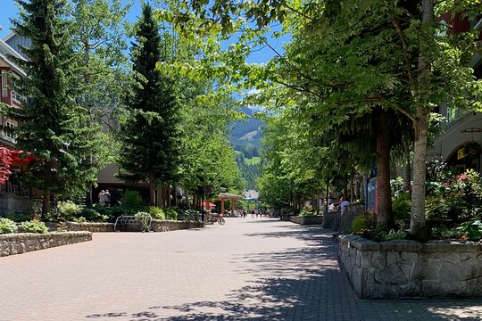 Tour image 8