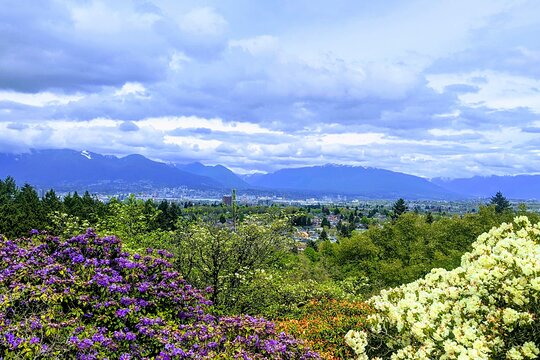 Tour image 10